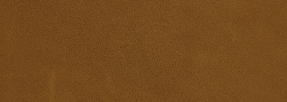 Misto aniline leather - 3399 camel