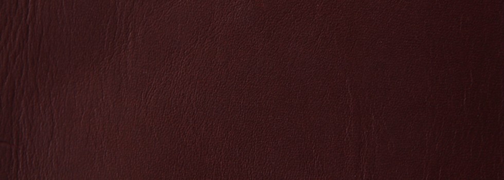 Misto aniline leather - 4499 chianti