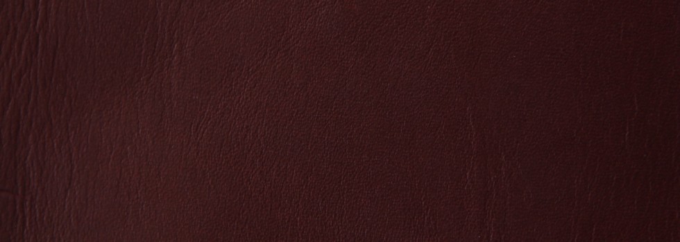 Misto aniline leather - 4499 chianti