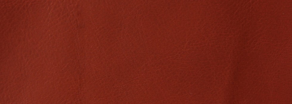 Misto aniline leather - 8799 piment