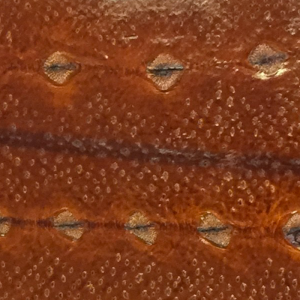 Diamond Sturgeon leather cognac brown